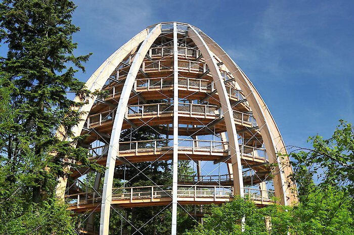 Baumwipfelpfad Bayerischen Wald - Baumei am Nationalpark